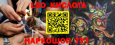 apvp Ливны