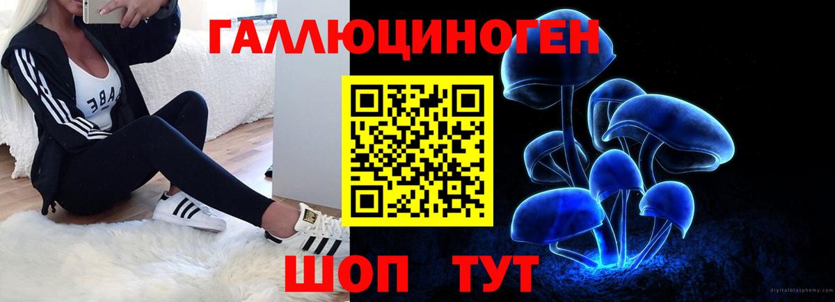 Псилоцибиновые грибы мицелий  Вход с VPN  Горячий Ключ 